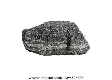 A big Augen gneiss foliated metamorphic rock stone isolated on white background. Royalty-Free Stock Photo #2394526699