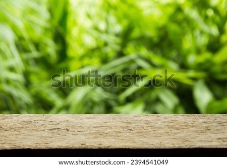 Natural rustic wood table top with blur on green leaves or tree in tropical forest background for Mock up template for display of your design.
