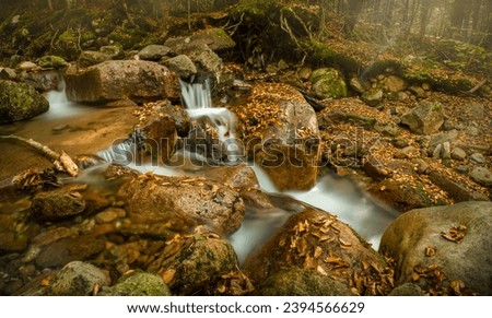 Walker brook stream in peak autumn.