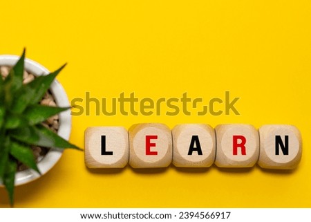 A symbol of learning and growing. Concept word, Learn, on wooden blocks. Beautiful succulent and yellow background. Business and concept "Learn and grow". Space for copy.