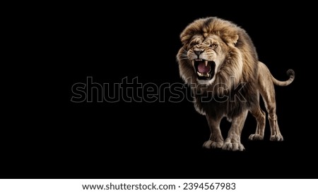 Roaring lion black background. isolated lion roaring. angry lion white background. isolated angry lion. opening mouth beast black background. Royalty-Free Stock Photo #2394567983