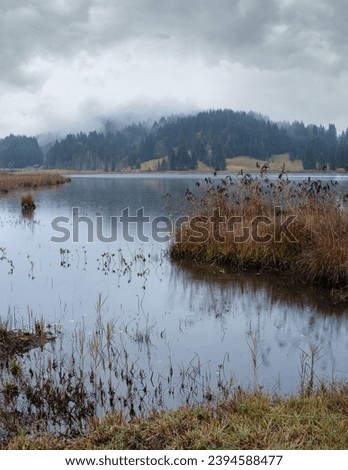 Alpine  lake Geroldee or Wagenbruchsee, Bavaria, Germany. Autumn overcast, foggy and drizzle day. Picturesque traveling, seasonal, weather, and rural nature beauty concept scene. Royalty-Free Stock Photo #2394588477