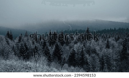 Snow in mountains, covered forest. Winter, cold weather, snowfall. Romantic wonderland. Magic landscape, beautiful Christmas background. Royalty-Free Stock Photo #2394598153