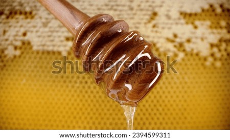 Organic honey flows from olive wood dipper stick spoon, tasty process. Apiary, beekeeping concept. Dripping, pouring sweet fluid nectar in slow motion. High quality 