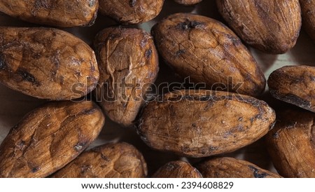 macro photography of cocoa beans