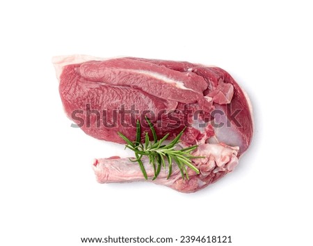 Raw Duck Fillet Isolated, Fresh Uncooked Duck Breast Red Meat with Skin, Uncooked Poultry Filet Mockup on White Background Top View