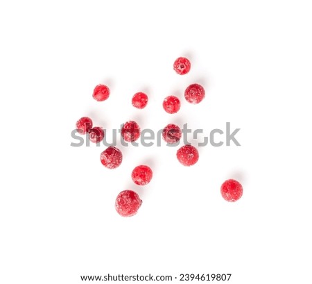 Frozen Lingonberry Isolated, Scattered Iced Cowberry, Snow Cranberry, Red Viburnum Berries, Frozen Lingonberry on White Background Top View