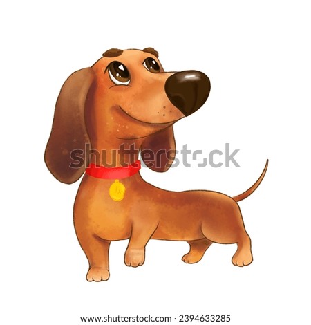 Cute, funny  brown Dachshund dog with big eyes and nose on white background. Cartoon characters