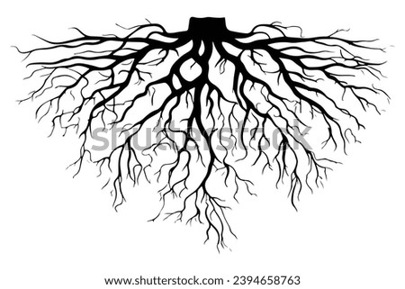 Root of the tree. Black silhouette. Plant root system. Realistic black roots illustration. A Monochrome Illustration of Nature's Strength and Growth. Isolated on white background. Vector illustration.