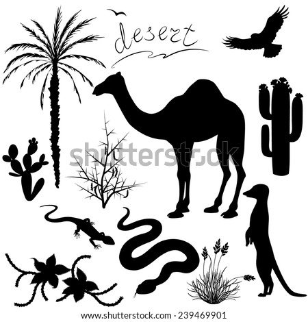 Set of silhouettes of desert  plants and animals.