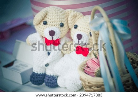 It is a picture of a teddy bear wearing a wedding dress.