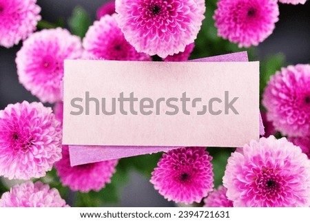 Mockup of natural title space surrounded by pink round Santinimum chrysanthemum flowers