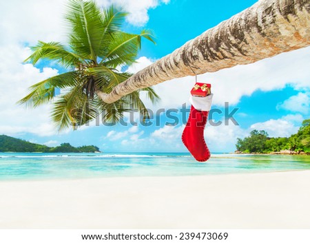 Christmas sock with gifts on palm tree at exotic tropical beach. Holiday concept for New Years Cards. Seychelles, Mahe