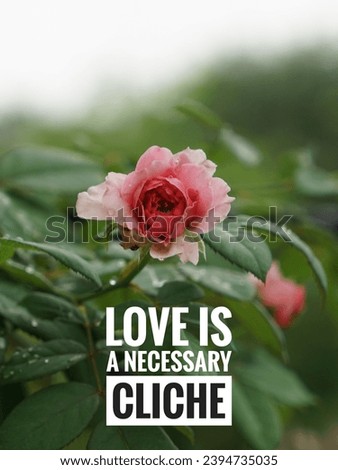 Inspirational life quote on blurry background.  Love is a necessary cliche.