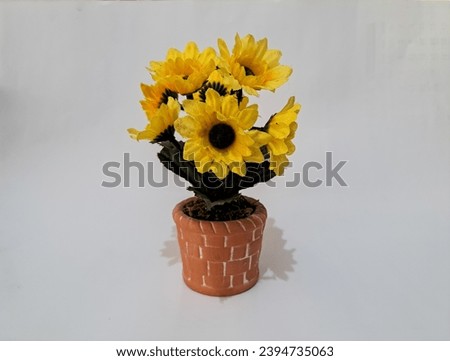 sunflower decoration in pot on white background