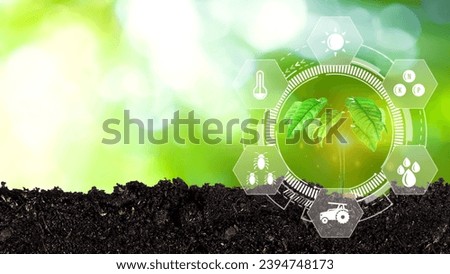 Seedling in cultivated agricultural field with infographics, Smart farming and precision agriculture with visual icon, digital technology agriculture and smart farming concept.