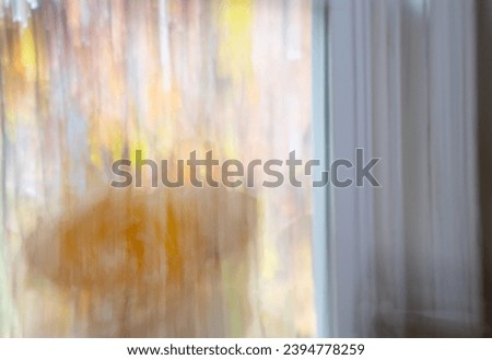 abstract blur of artificial flower falling in front of window yellow and gold autumn fall leaves in background through window blur effect created by slow shutter speed and intentional camera movement 
