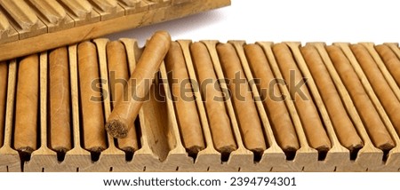 Cigars with Press on white Background - Panorama Royalty-Free Stock Photo #2394794301