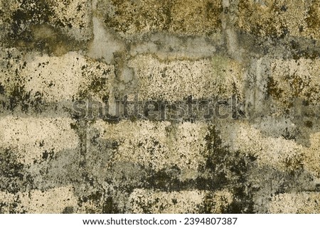 The concrete wall floor is old and worn out and has mold growing on it.