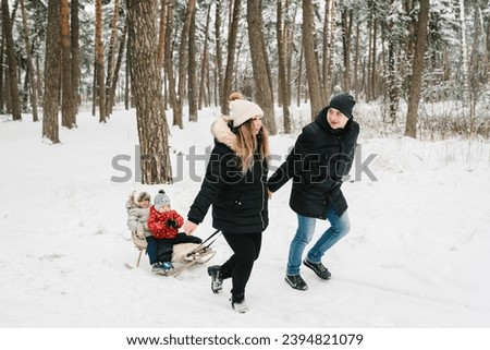 Portrait family runs and walks in snowy forest. Family with two small children in winter nature. Father, mother, daughter, son with sled in winter park. Mom, dad, kids enjoying snowfall in snowy woods