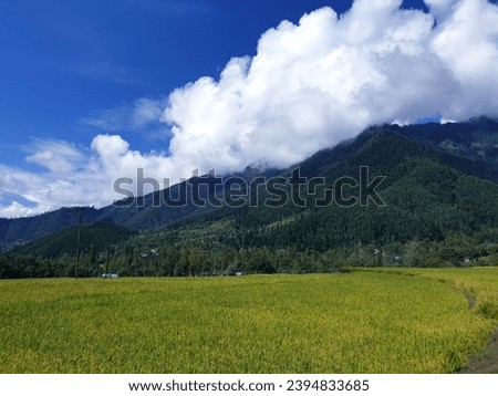 View of cloudy blue sky beautiful villages and rice fields of villagers in Indian states. Green and yellow golden colour crops in India are best destination for travellers.