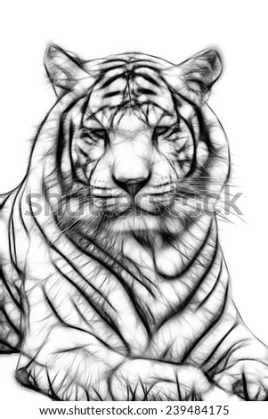 Fractal illustration of a Bengal Tiger