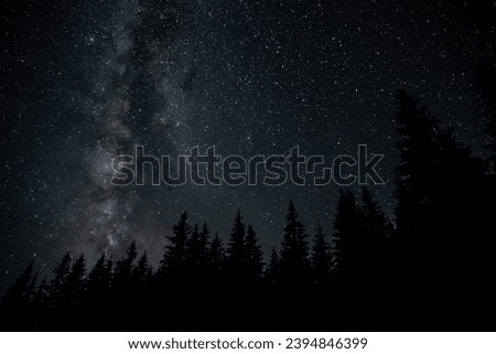 Milky Way Galaxy over the forest. Starry night background.