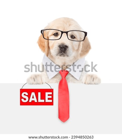 Smart Golden retriver puppy wearing necktie and eyeglasses shows signboard with labeled "sale" above empty white banner. isolated on white background