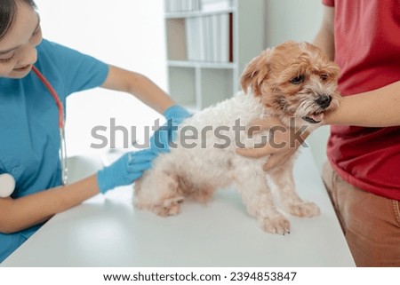 The dog's owner took the dog to the hospital to be examined by a veterinarian for the cause of his illness, There was a dog on the table and was thoroughly examined by the vet.