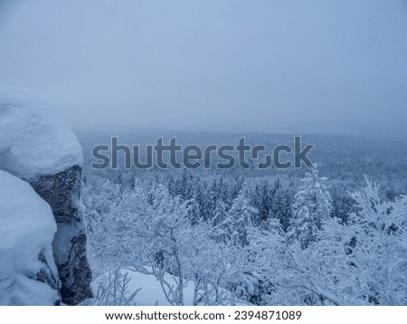 Beautiful view on mountain on cloudy day. Landscape with winter forest and blue sky