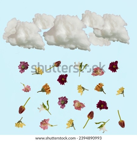 Colorful beautiful fresh flowers  falling from white clouds on a light blue background. Minimal concept of love, optimism. Flat lay.