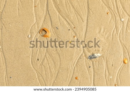 Natural lines in the sand on Edisto island, South Carolina Royalty-Free Stock Photo #2394905085