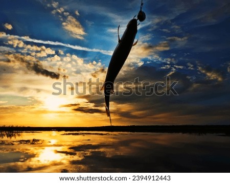 Fishing at sunset. Catching predatory fish on spinning. Sunset colors on the water surface, sunny path from the low sun. Perch caught on yellow spoonbait Royalty-Free Stock Photo #2394912443