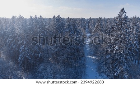 Aerial view over snowy forest near Munich. Pine tree forest in south Germany covered by ice in winter