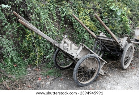 exterior outdoor photo view of two old antique ancient damaged wood pull carriage vehicle in a rural area of henan province in china during the day