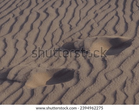 Foot prints of the Camel shot in the desert of Dubai. Waves like sand adding beauty to the image.