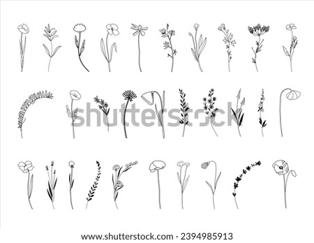 Botanical abstract line arts, wildflowers line art drawing, hand drawn herbs, flowers and branches, vector illustration