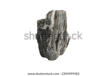 Vertical gneiss foliated metamorphic rock stone isolated on white background. Royalty-Free Stock Photo #2394999583