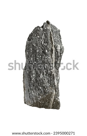A big vertical Augen gneiss foliated metamorphic rock stone isolated on white background. Royalty-Free Stock Photo #2395000271
