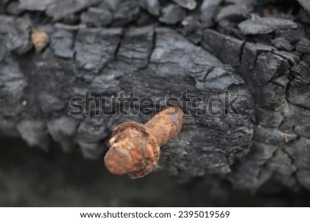 A bolt in the charred wood