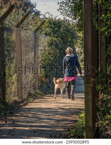 An authentic English woman walks her dog along a path in the park. Autumn sunny day. Metal mesh on the fence. Walking, dog walking, nature or exercise concept