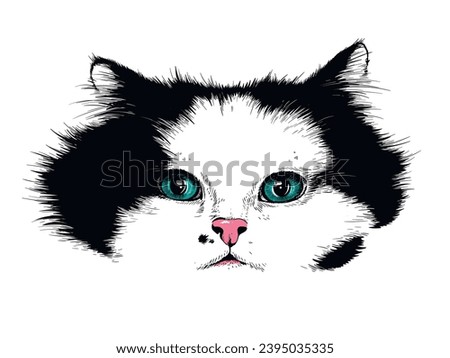 Beautiful fluffy cat portrait. Realistic sketch.  Stylish image for printing on any surface