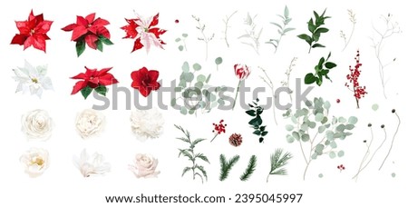 Christmas collection of red poinsettia, winter berry, cedar, emerald pine, eucalyptus. Big vector set. Merry Christmas and Happy New Year card elements. Hand drawn set isolated on white background