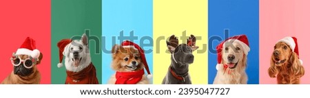Collage with many dogs in Santa hats on color background