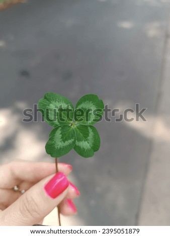 Clover leaf in hand, lucky leaf