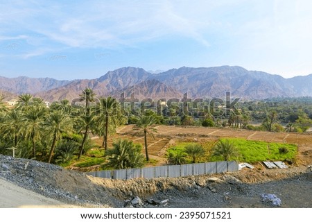 View of desert mountains and a lush oasis with Al-Bithnah Fort rising above the trees in Fujairah, United Arab Emirates. Royalty-Free Stock Photo #2395071521