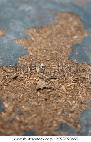 photo of the texture of a weathered wooden board, suitable for themes involving worn out, damaged, abandoned conditions, or themes related to old, historic, and nostalgic conditions.