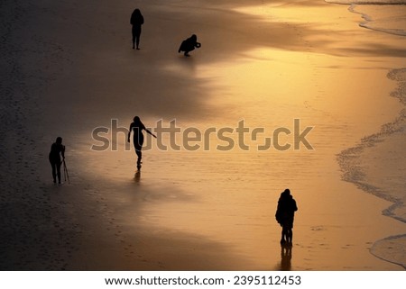 People on sandy beach in the golden light of the sunset, taking photos or enjoy their vacation      