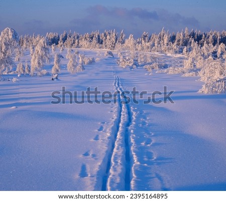 Winter landscape, Alexanderschanze cross-country ski trail, Northern Black Forest Baden-Württemberg Germany Royalty-Free Stock Photo #2395164895