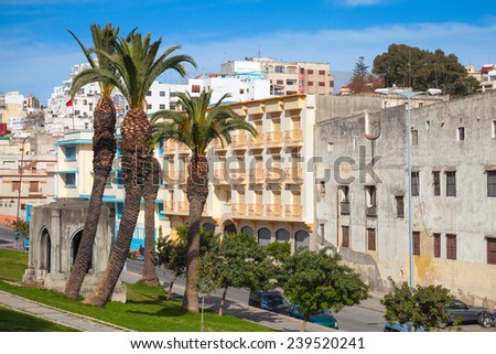Jardins de La Mendoubia. Street view with palm trees of Place du 9 Avril 1947. Tangier, Morocco Royalty-Free Stock Photo #239520241